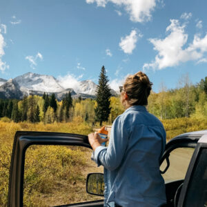 $100 Hawkes Bay Scenic Tours