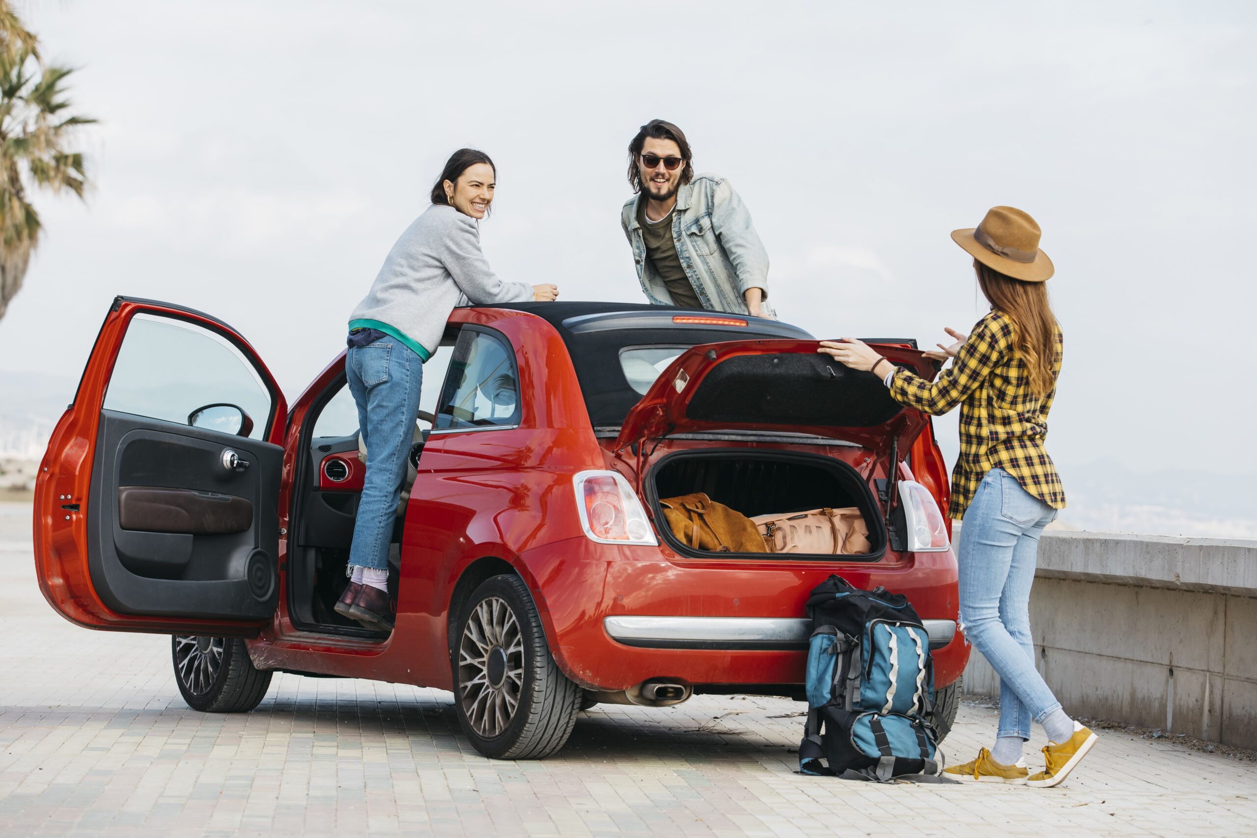 $200 Hawkes Bay Scenic Tours